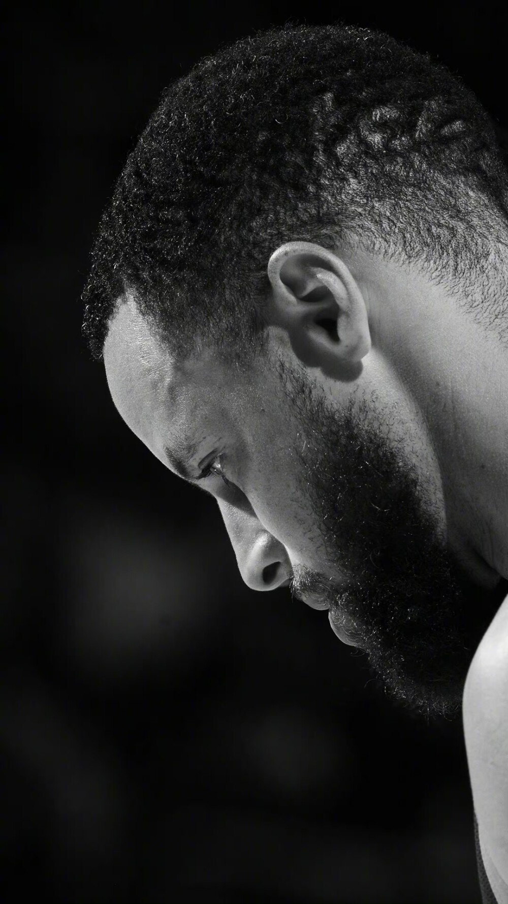 显而易见的 显而易见的